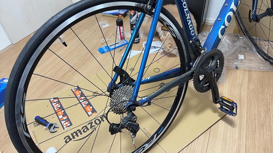 Amazon | シマノ(SHIMANO) WH-RS100 リア QR EWHRS100RCB | シマノ
